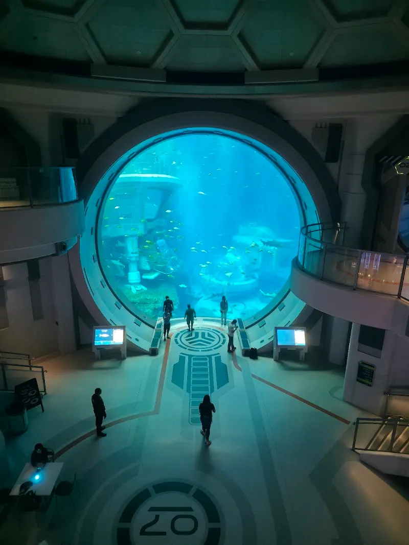 SeaWorld Abu Dhabi | سي وورلد جزيرة ياس، أبوظ aquarium in Yas Island, Abu Dhabi